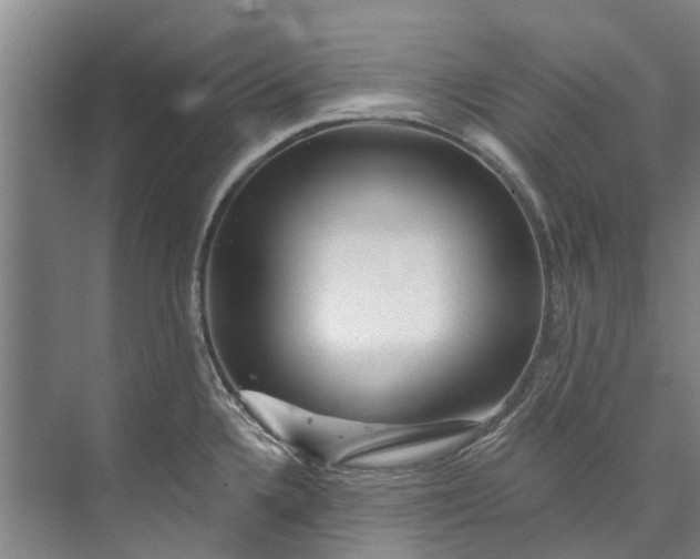 X0000072951336200608041258