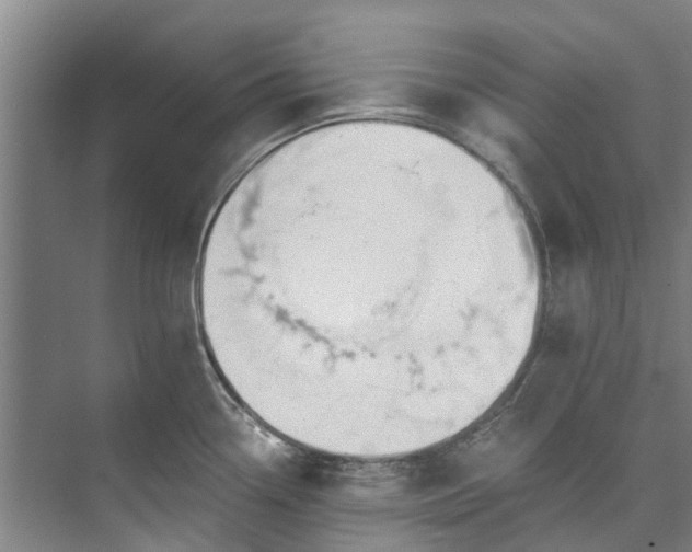 X0000072951338200608041258