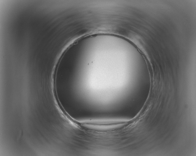 X0000072951341200608041258