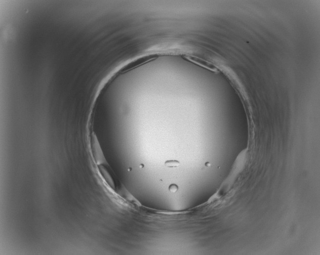 X0000072951344200608041258