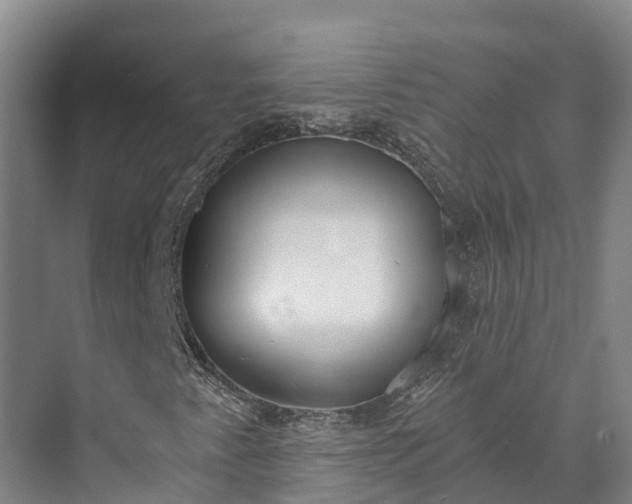 X0000072951345200608041257