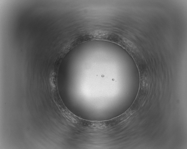 X0000072951346200608041257