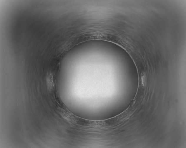 X0000072951347200608041257