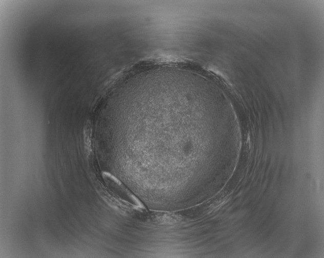 X0000072951348200608041257