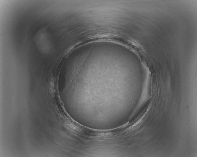 X0000072951353200608041257