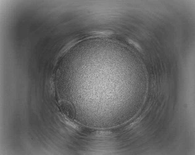 X0000072951354200608041257