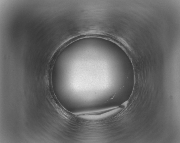 X0000072951356200608041257