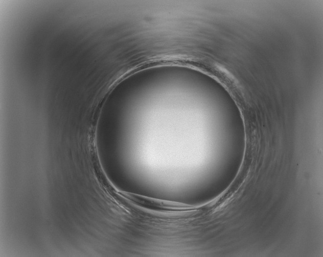 X0000072951361200608041257