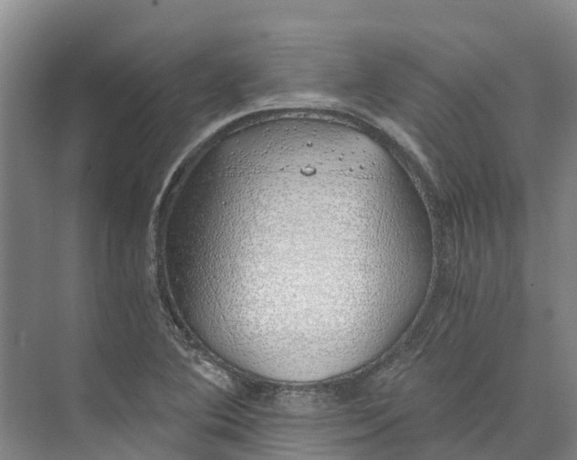 X0000072951364200608041257