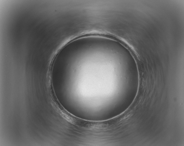 X0000072951367200608041257