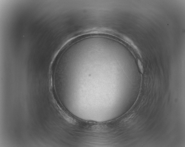 X0000072951368200608041257