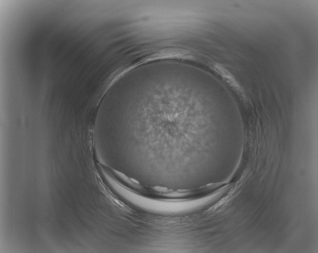 X0000072951369200608041257