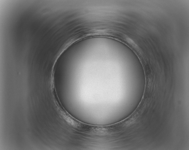 X0000072951370200608041257