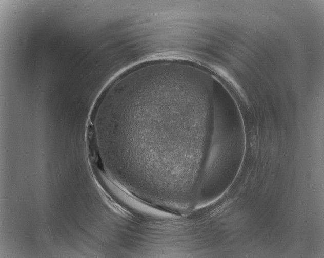 X0000072951372200608041257