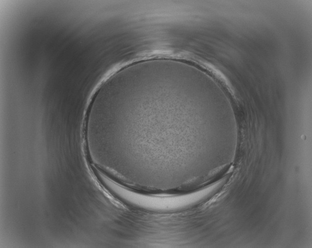 X0000072951373200608041256