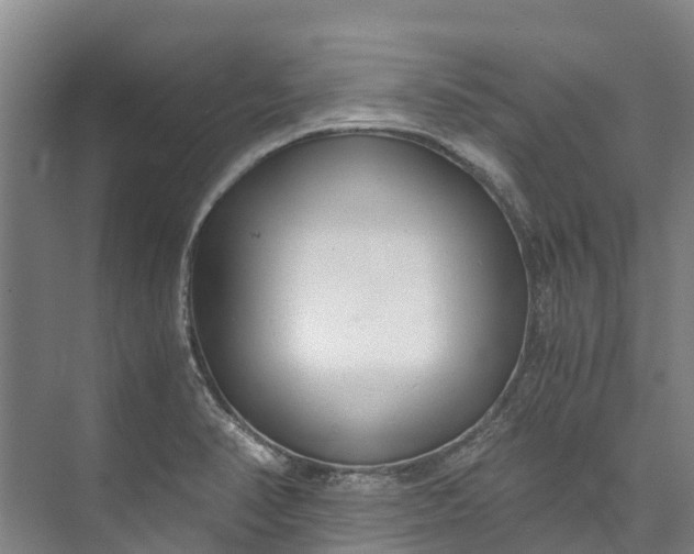 X0000072951374200608041256