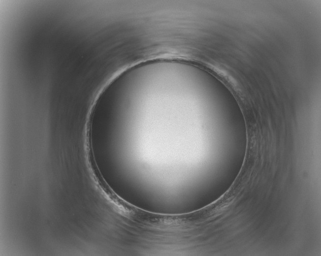 X0000072951375200608041256