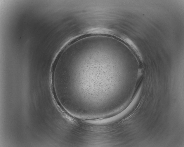 X0000072951376200608041256