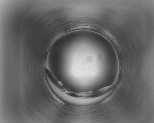 X0000072951377200608041256