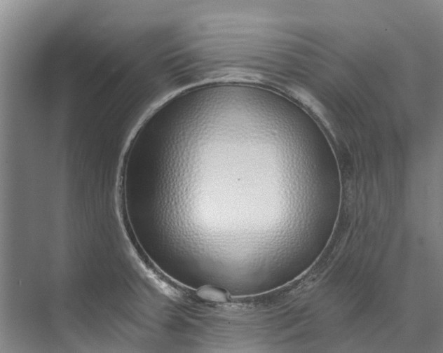 X0000072951379200608041256