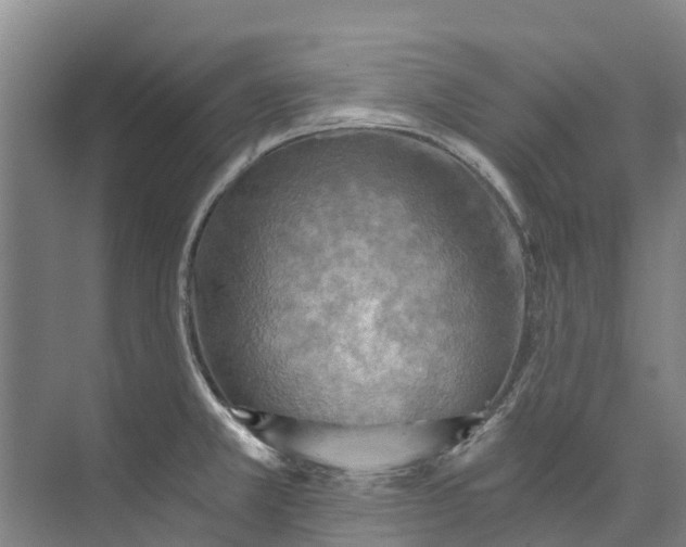 X0000072951381200608041256