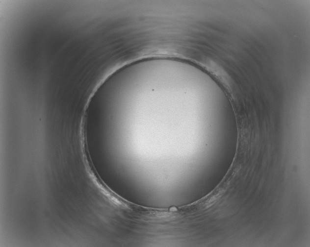 X0000072951382200608041256