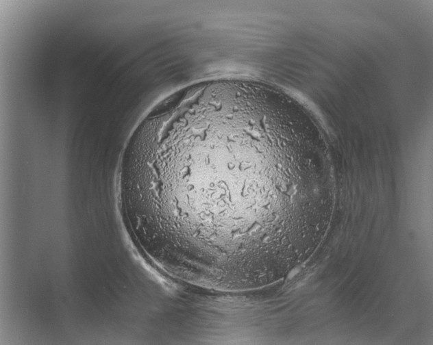 X0000072951383200608041256