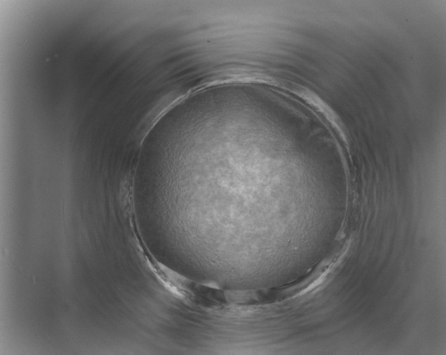 X0000072951385200608041256