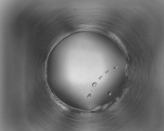 X0000072951386200608041256