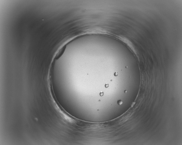 X0000072951387200608041256