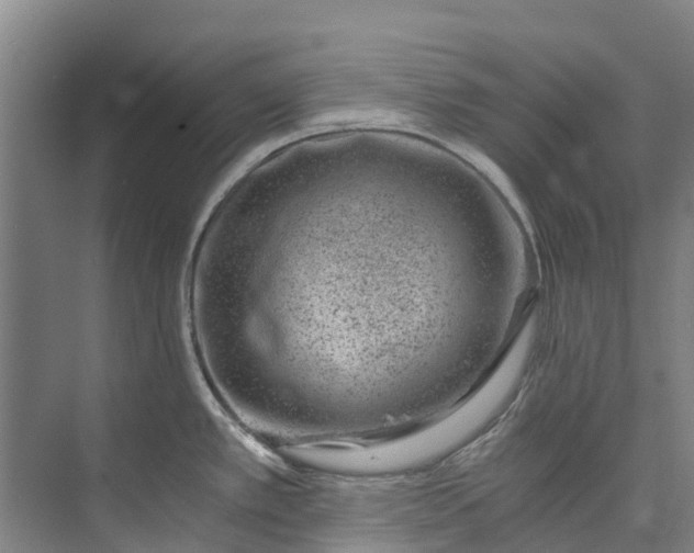 X0000072951389200608041256