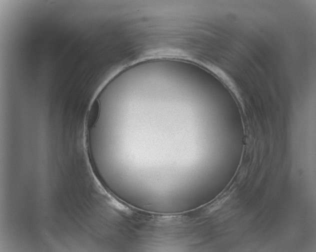 X0000072951390200608041256