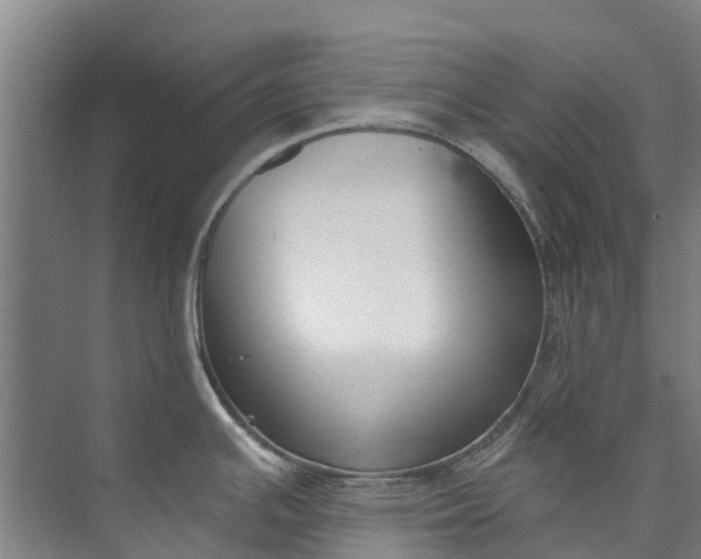 X0000072951391200608041256