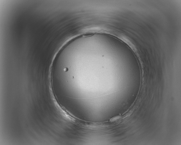 X0000072951392200608041256