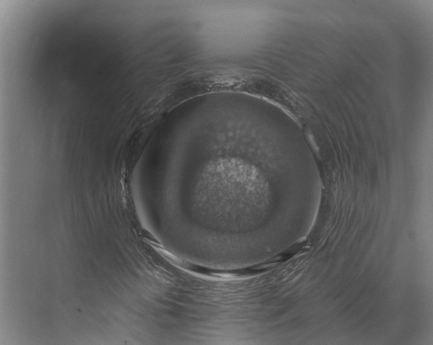 X0000072951394200608041255