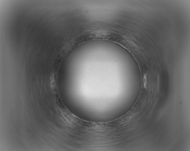 X0000072951395200608041255