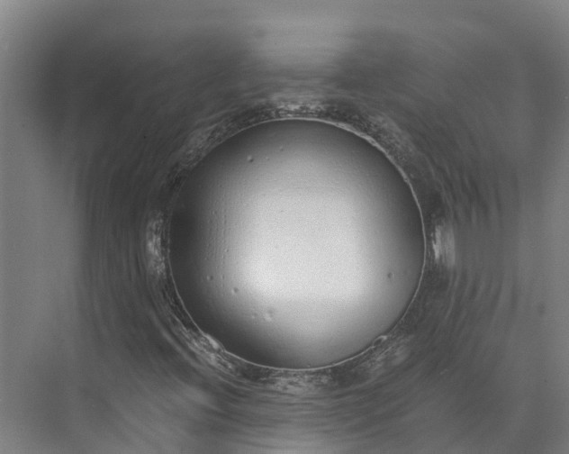 X0000072951396200608041255