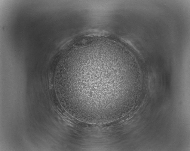 X0000072951399200608041255