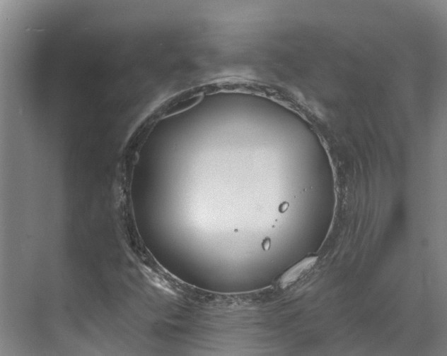 X0000072951400200608041255