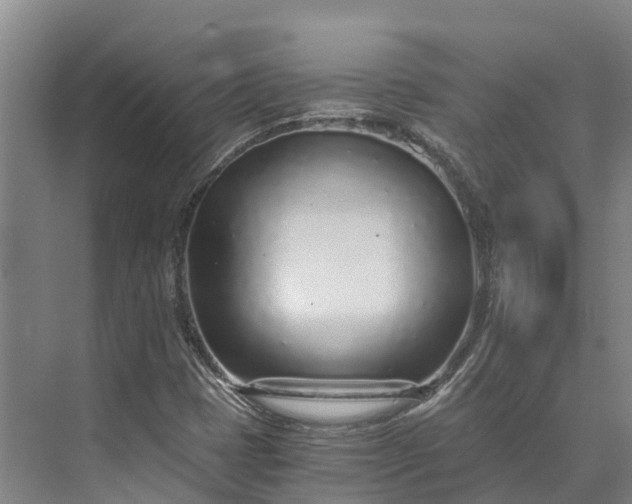 X0000072951401200608041256