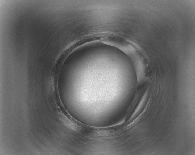 X0000072951402200608041256