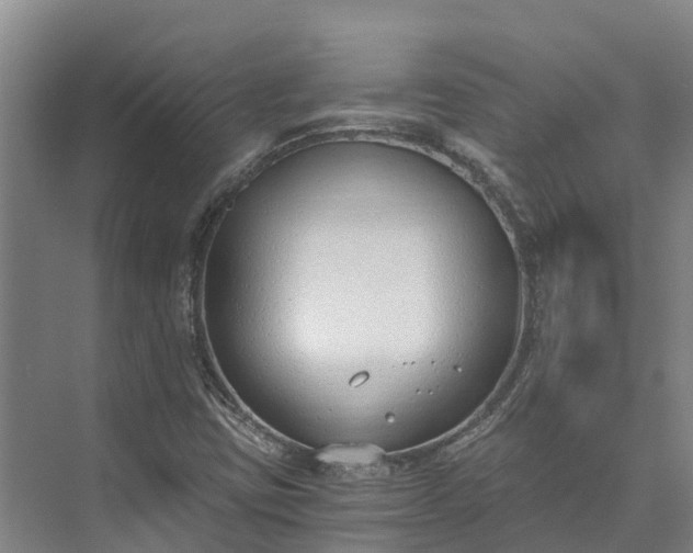 X0000072951403200608041256