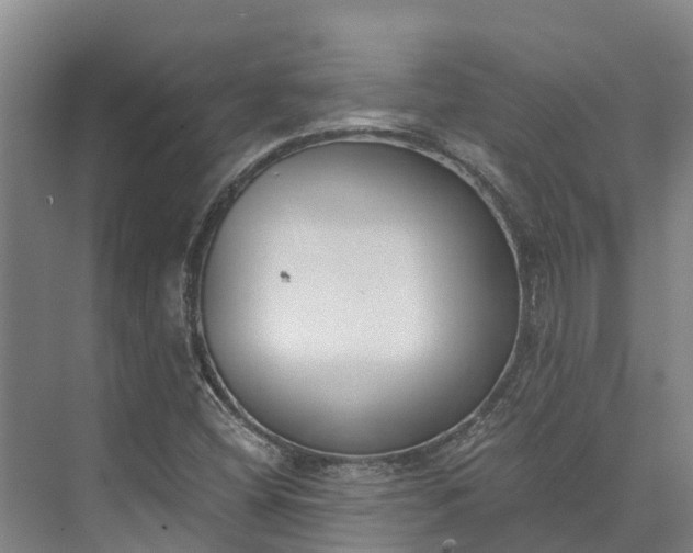 X0000072951404200608041256