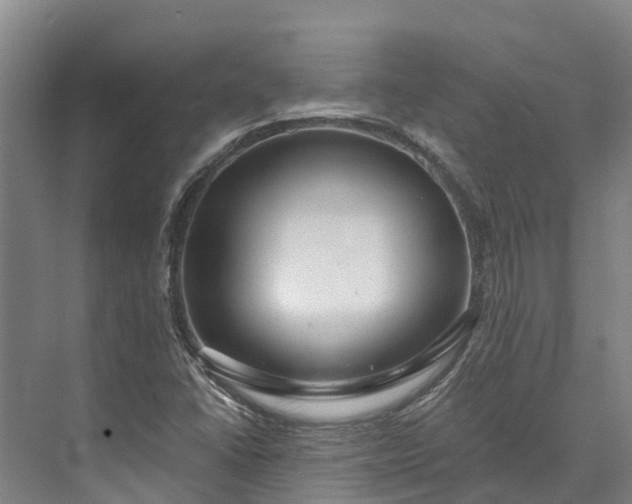 X0000072951406200608041256