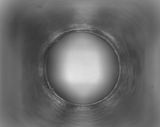 X0000072951407200608041256