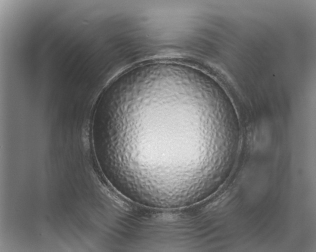 X0000072951409200608041256