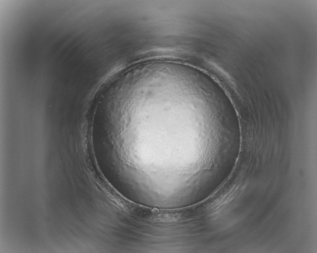 X0000072951411200608041256