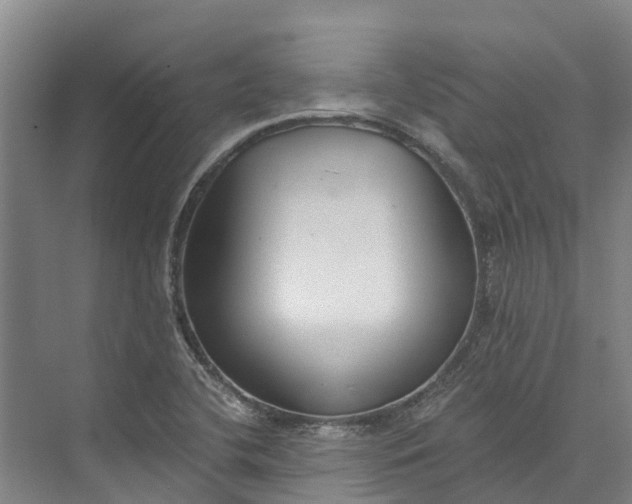 X0000072951412200608041256