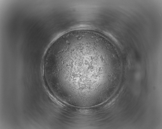 X0000072951413200608041256