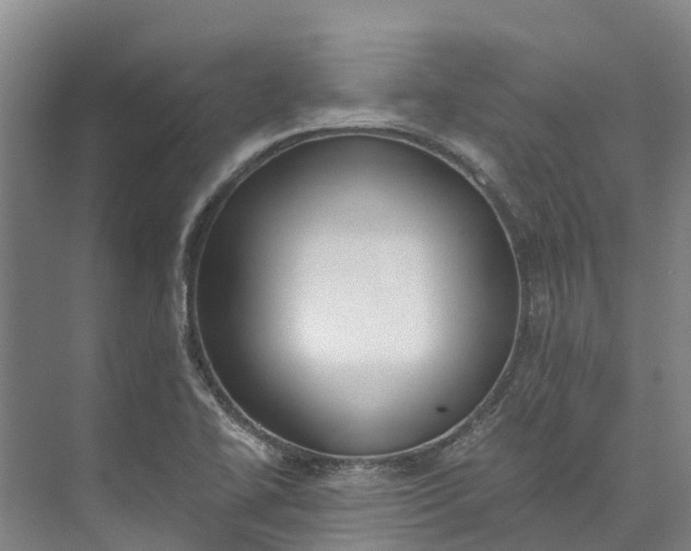 X0000072951414200608041256